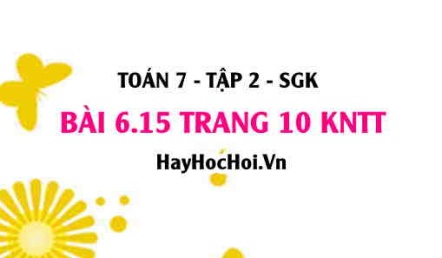 Bài 6.15 trang 10 Toán 7 Tập 2 Kết nối tri thức